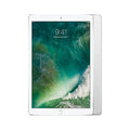 128GB Wi-Fi Silver 12.9in Tablet D576855