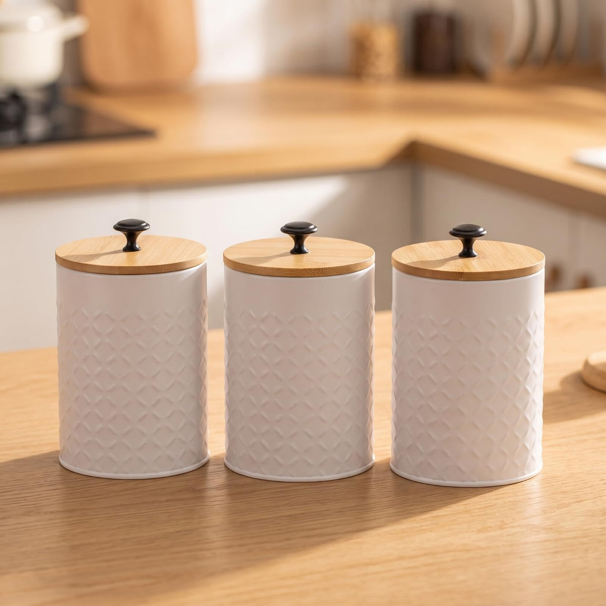 3 Pieces Kitchen Canister Set H12581