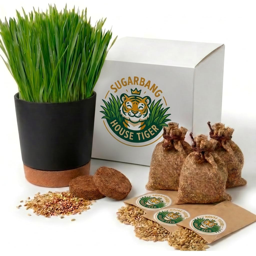 Cat Grass Gift Set with Self-Watering Pot & 3-Pack Refill H21637