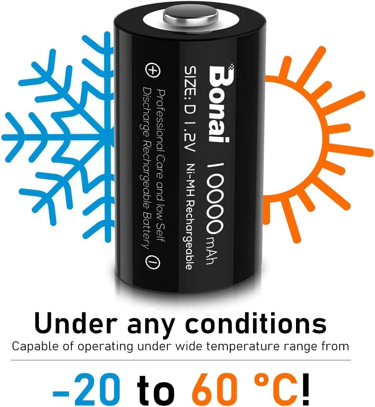 Rechargeable D Batteries 4 Pack I2237