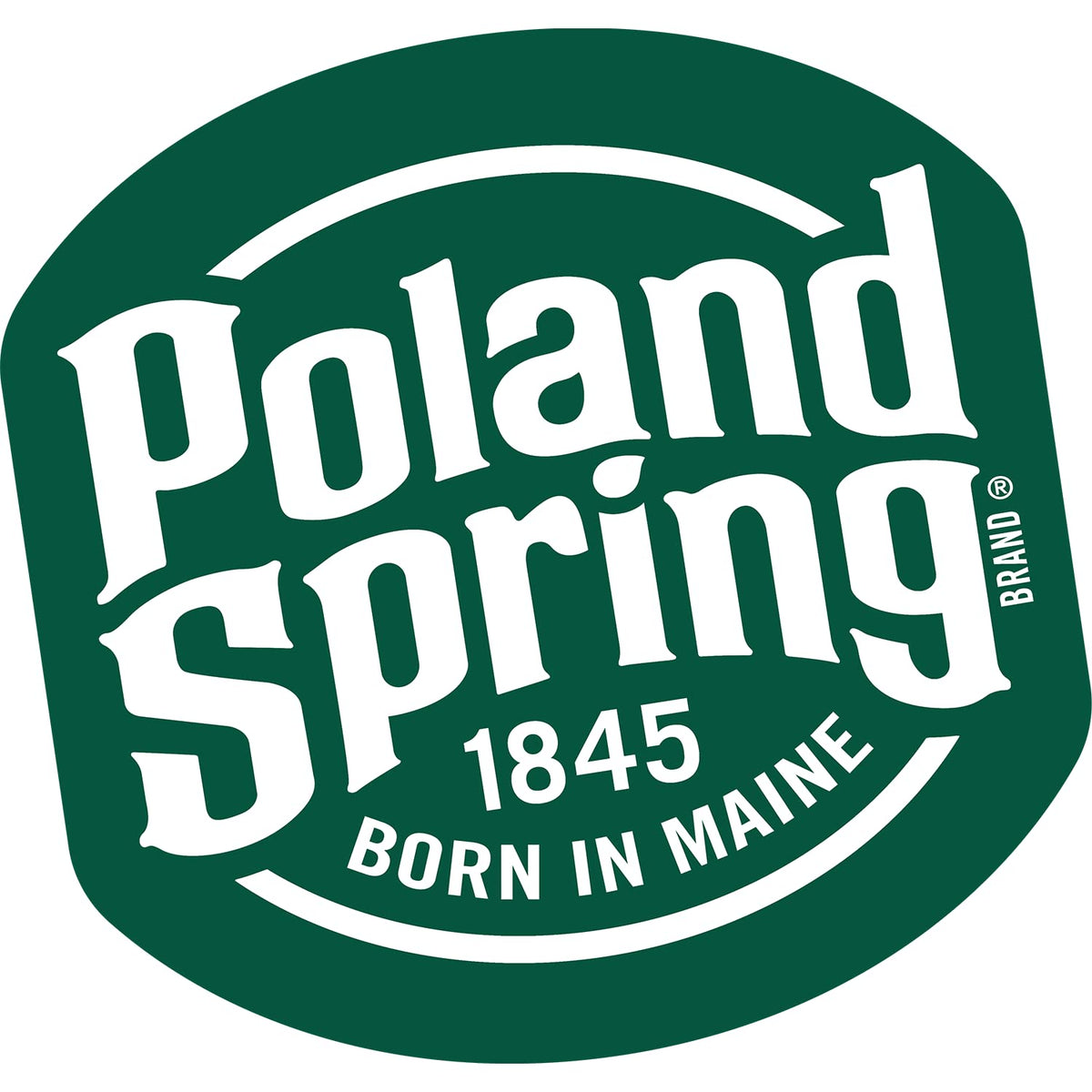 Spring Bottled Water 16.9 Fl Oz 96 Pack P3926
