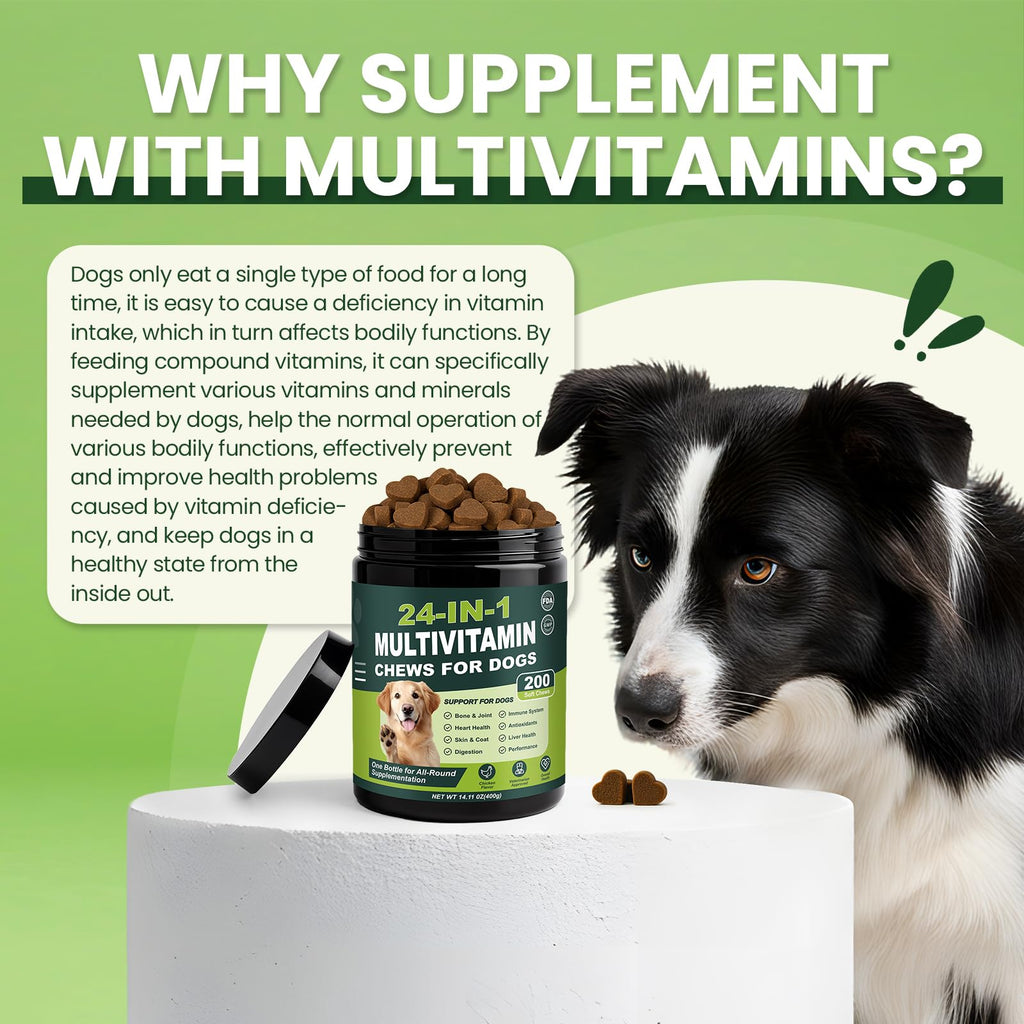 Dog Vitamins and Supplements 200 Ct Multivitamin R7916