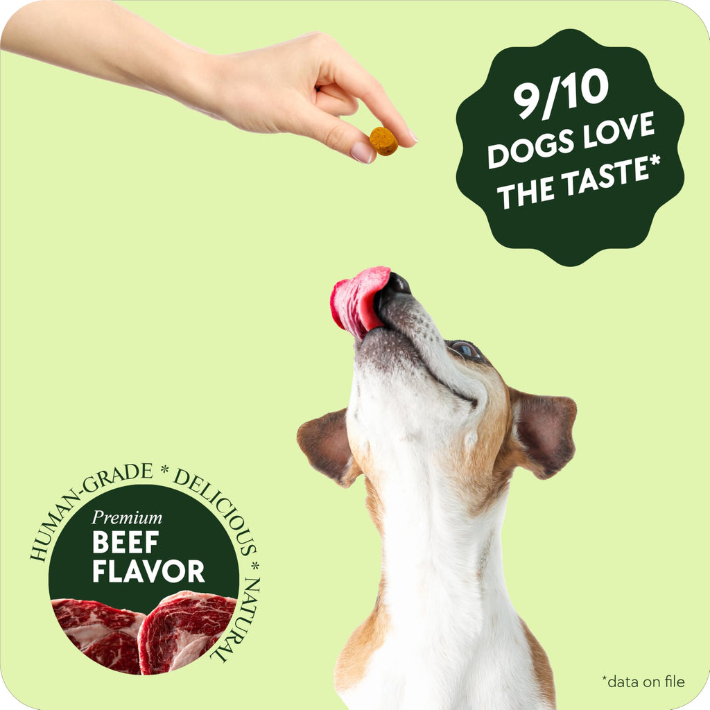 Chewable Flea and Tick Prevention for Dogs 120 Chews Beef H940660