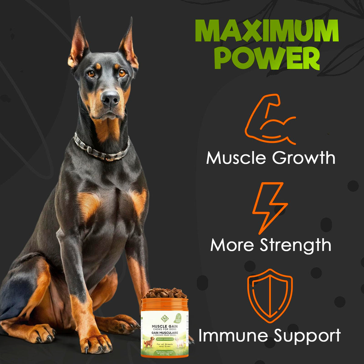 High Calorie Chicken Weight Gain Chews for Dogs S90836