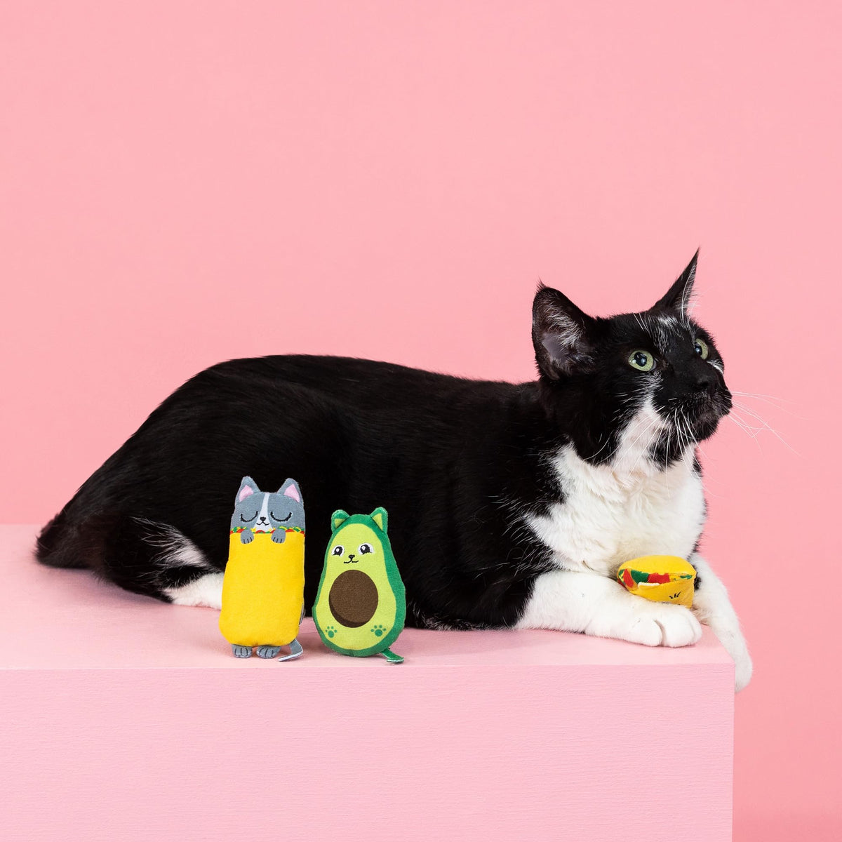 Plush Cat Toy 3 Piece Set K23724