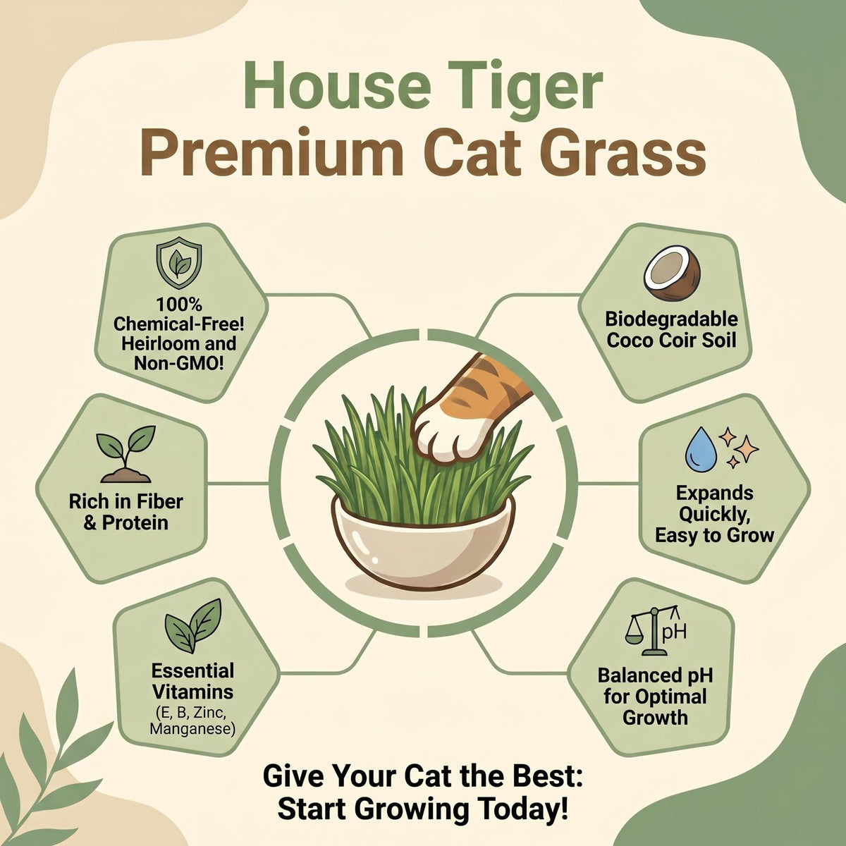 Cat Grass Gift Set with Self-Watering Pot & 3-Pack Refill H21637