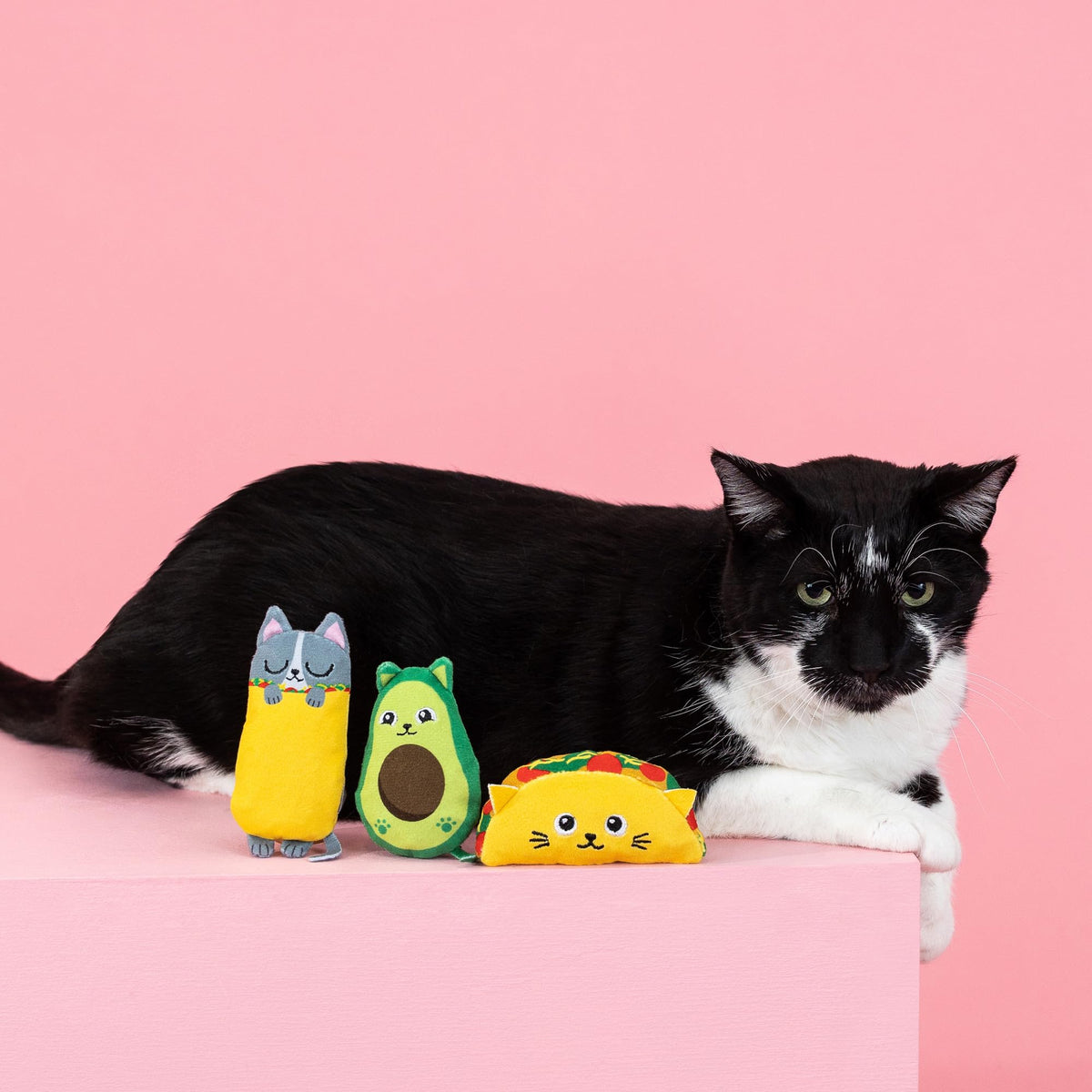 Plush Cat Toy 3 Piece Set K23724