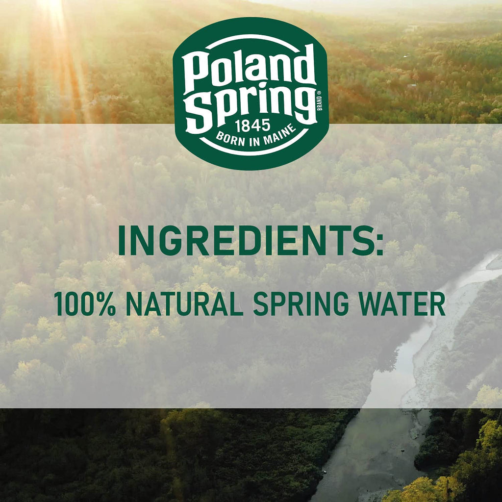 Spring Bottled Water 16.9 Fl Oz 96 Pack P3926