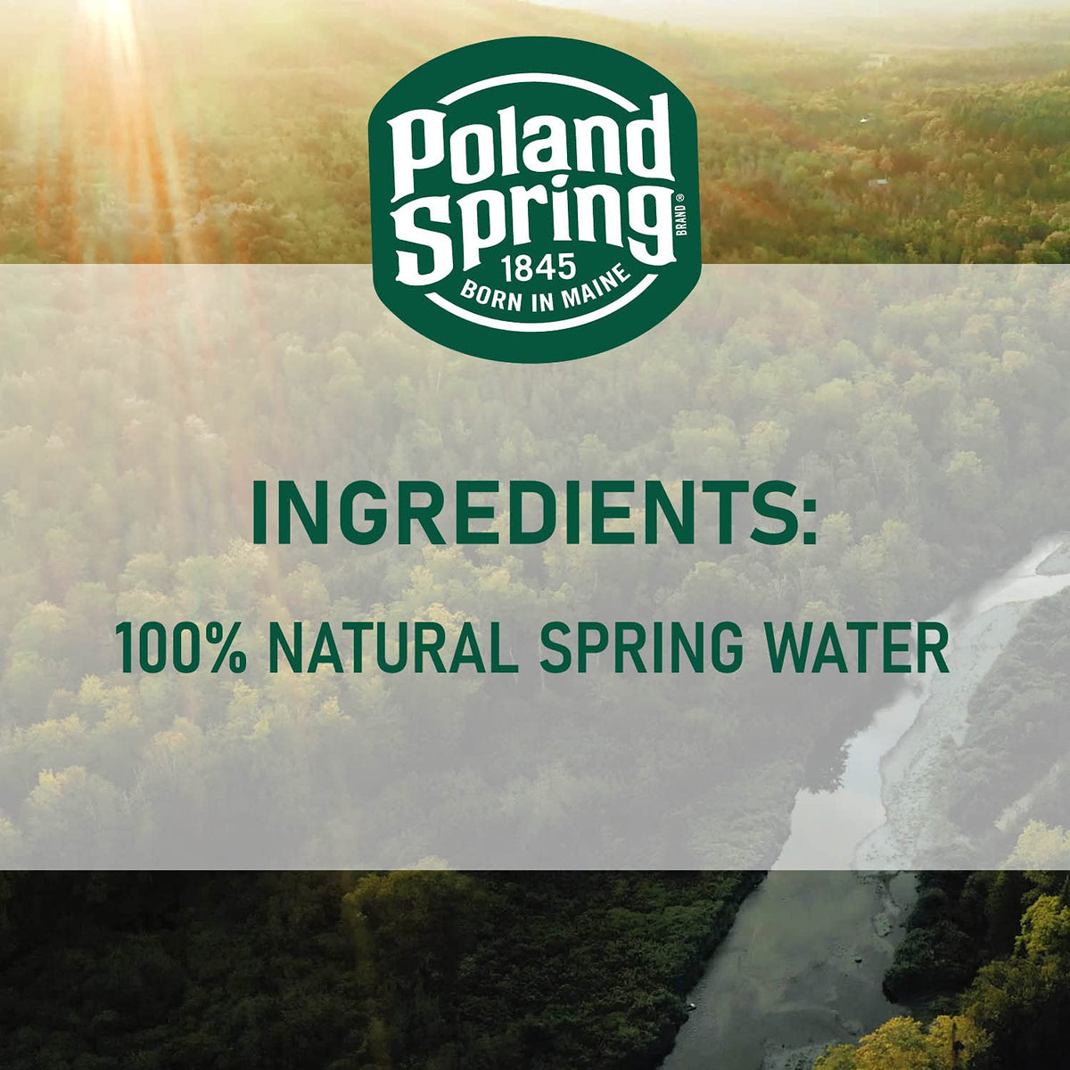Spring Bottled Water 16.9 Fl Oz 96 Pack P3926