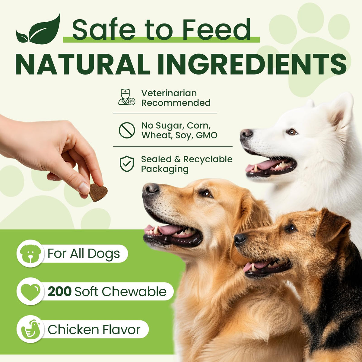 Dog Vitamins and Supplements 200 Ct Multivitamin R7916