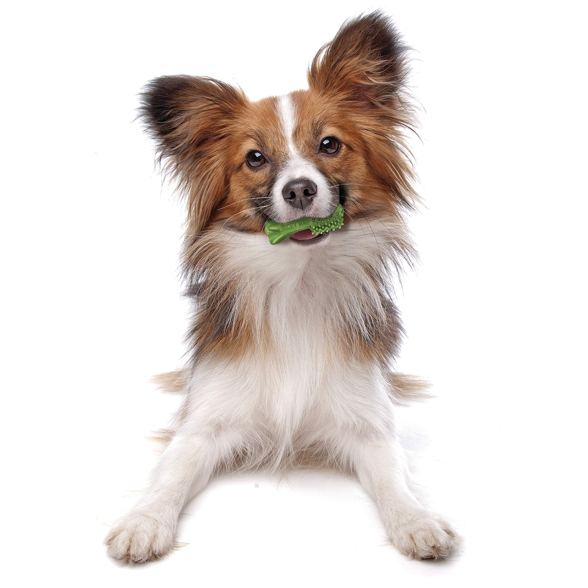 Natural Dog Dental Chews Mini 32 Count C592