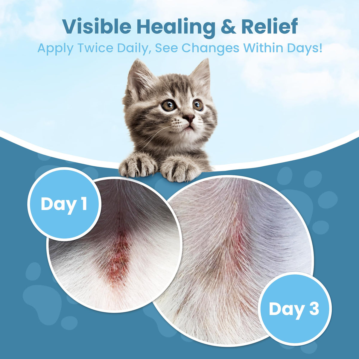 Cat Paw Balm Cat Cream 2 oz O2023