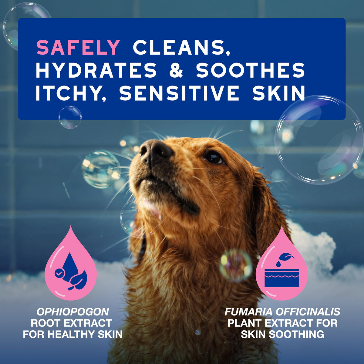 Dog Shampoo for Sensitive Skin, 16 fl oz J51588