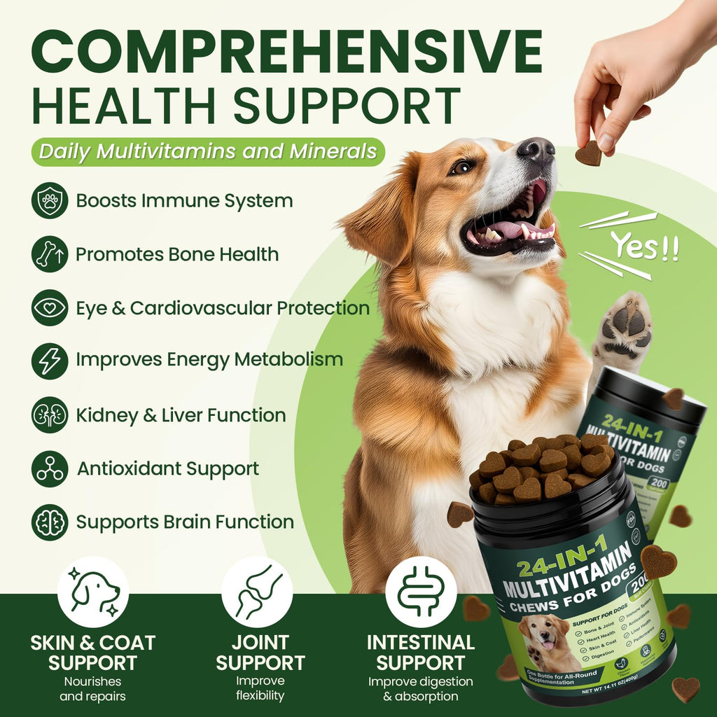 Dog Vitamins and Supplements 200 Ct Multivitamin R7916