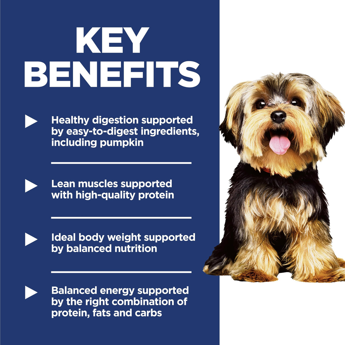 Dry Dog Food I28371