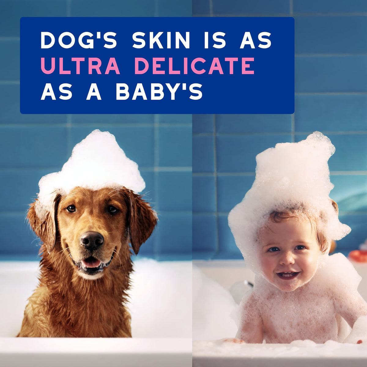 Dog Shampoo for Sensitive Skin, 16 fl oz J51588