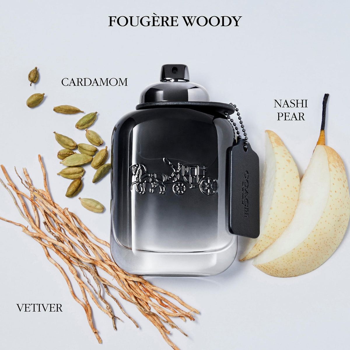 Eau de Toilette Fougere Woody Fragrance V850