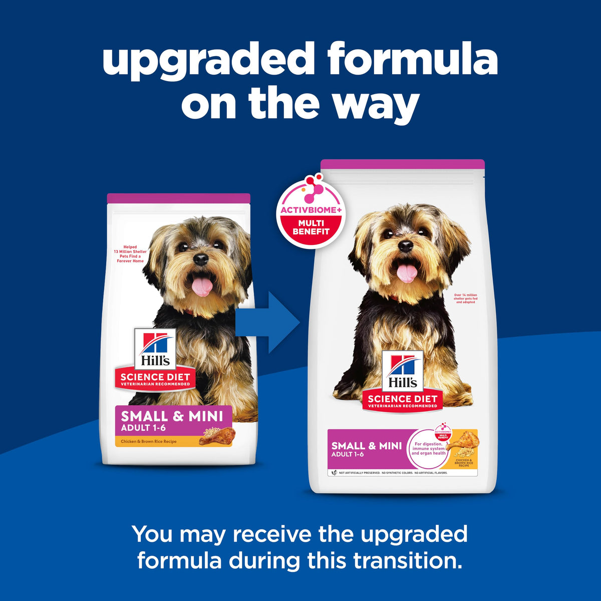 Dry Dog Food I28371
