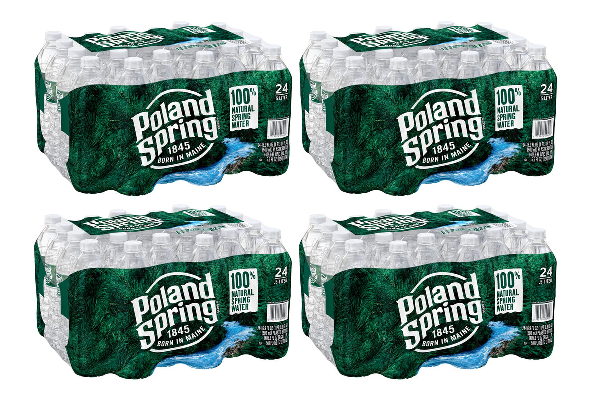 Spring Bottled Water 16.9 Fl Oz 96 Pack P3926