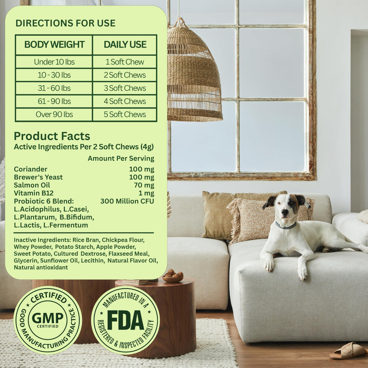 Chewable Flea and Tick Prevention for Dogs 120 Chews Beef H940660